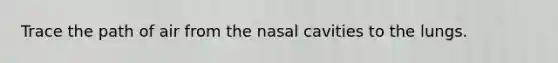 Trace the path of air from the nasal cavities to the lungs.