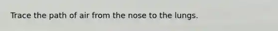 Trace the path of air from the nose to the lungs.