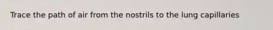 Trace the path of air from the nostrils to the lung capillaries