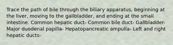 Trace the path of bile through the biliary apparatus, beginning at the liver, moving to the gallbladder, and ending at the small intestine. Common hepatic duct- Common bile duct- Gallbladder- Major duodenal papilla- Hepatopancreatic ampulla- Left and right hepatic ducts-