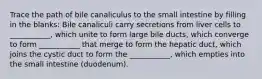 Trace the path of bile canaliculus to the small intestine by filling in the blanks: Bile canaliculi carry secretions from liver cells to ___________, which unite to form large bile ducts, which converge to form ___________ that merge to form the hepatic duct, which joins the cystic duct to form the ___________, which empties into the small intestine (duodenum).