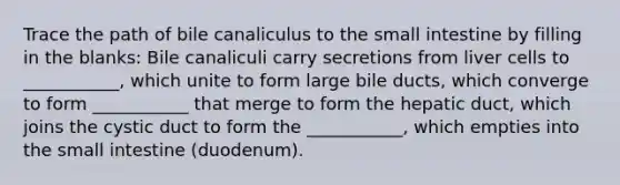 Trace the path of bile canaliculus to <a href='https://www.questionai.com/knowledge/kt623fh5xn-the-small-intestine' class='anchor-knowledge'>the small intestine</a> by filling in the blanks: Bile canaliculi carry secretions from liver cells to ___________, which unite to form large bile ducts, which converge to form ___________ that merge to form the hepatic duct, which joins the cystic duct to form the ___________, which empties into the small intestine (duodenum).