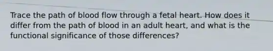 Trace the path of blood flow through a fetal heart. How does it differ from the path of blood in an adult heart, and what is the functional significance of those differences?