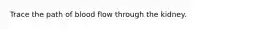 Trace the path of blood flow through the kidney.