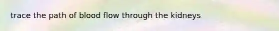 trace the path of blood flow through the kidneys