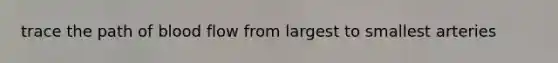 trace the path of blood flow from largest to smallest arteries