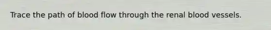 Trace the path of blood flow through the renal blood vessels.