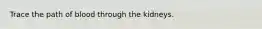 Trace the path of blood through the kidneys.