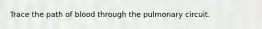 Trace the path of blood through the pulmonary circuit.