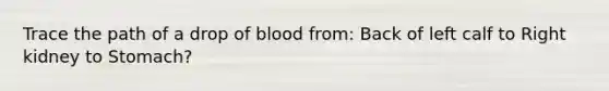 Trace the path of a drop of blood from: Back of left calf to Right kidney to Stomach?