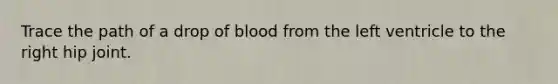 Trace the path of a drop of blood from the left ventricle to the right hip joint.