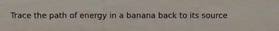 Trace the path of energy in a banana back to its source