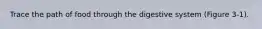 Trace the path of food through the digestive system (Figure 3‐1).