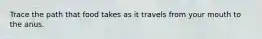 Trace the path that food takes as it travels from your mouth to the anus.