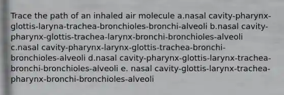 Trace the path of an inhaled air molecule a.nasal cavity-pharynx-glottis-laryna-trachea-bronchioles-bronchi-alveoli b.nasal cavity-pharynx-glottis-trachea-larynx-bronchi-bronchioles-alveoli c.nasal cavity-pharynx-larynx-glottis-trachea-bronchi-bronchioles-alveoli d.nasal cavity-pharynx-glottis-larynx-trachea-bronchi-bronchioles-alveoli e. nasal cavity-glottis-larynx-trachea-pharynx-bronchi-bronchioles-alveoli