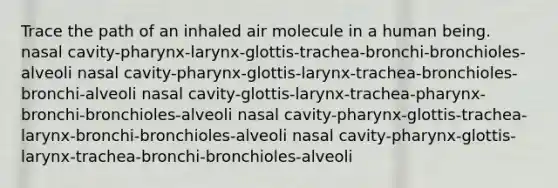 Trace the path of an inhaled air molecule in a human being. nasal cavity-pharynx-larynx-glottis-trachea-bronchi-bronchioles-alveoli nasal cavity-pharynx-glottis-larynx-trachea-bronchioles-bronchi-alveoli nasal cavity-glottis-larynx-trachea-pharynx-bronchi-bronchioles-alveoli nasal cavity-pharynx-glottis-trachea-larynx-bronchi-bronchioles-alveoli nasal cavity-pharynx-glottis-larynx-trachea-bronchi-bronchioles-alveoli