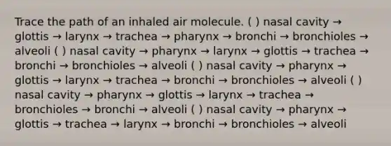 Trace the path of an inhaled air molecule. ( ) nasal cavity → glottis → larynx → trachea → pharynx → bronchi → bronchioles → alveoli ( ) nasal cavity → pharynx → larynx → glottis → trachea → bronchi → bronchioles → alveoli ( ) nasal cavity → pharynx → glottis → larynx → trachea → bronchi → bronchioles → alveoli ( ) nasal cavity → pharynx → glottis → larynx → trachea → bronchioles → bronchi → alveoli ( ) nasal cavity → pharynx → glottis → trachea → larynx → bronchi → bronchioles → alveoli