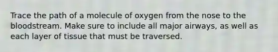 Trace the path of a molecule of oxygen from the nose to the bloodstream. Make sure to include all major airways, as well as each layer of tissue that must be traversed.