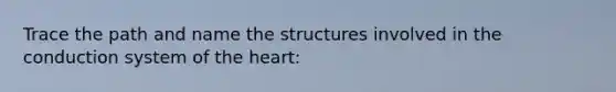 Trace the path and name the structures involved in the conduction system of the heart: