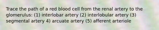 Trace the path of a red blood cell from the renal artery to the glomerulus: (1) interlobar artery (2) interlobular artery (3) segmental artery 4) arcuate artery (5) afferent arteriole