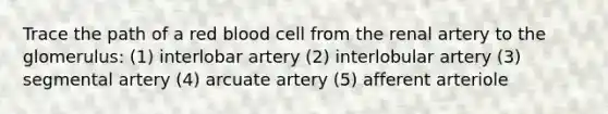 Trace the path of a red blood cell from the renal artery to the glomerulus: (1) interlobar artery (2) interlobular artery (3) segmental artery (4) arcuate artery (5) afferent arteriole