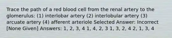 Trace the path of a red blood cell from the renal artery to the glomerulus: (1) interlobar artery (2) interlobular artery (3) arcuate artery (4) afferent arteriole Selected Answer: Incorrect [None Given] Answers: 1, 2, 3, 4 1, 4, 2, 3 1, 3, 2, 4 2, 1, 3, 4