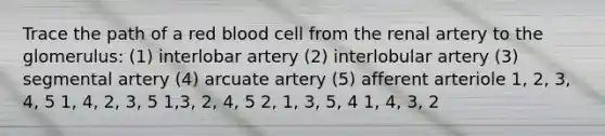 Trace the path of a red blood cell from the renal artery to the glomerulus: (1) interlobar artery (2) interlobular artery (3) segmental artery (4) arcuate artery (5) afferent arteriole 1, 2, 3, 4, 5 1, 4, 2, 3, 5 1,3, 2, 4, 5 2, 1, 3, 5, 4 1, 4, 3, 2