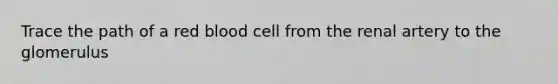 Trace the path of a red blood cell from the renal artery to the glomerulus