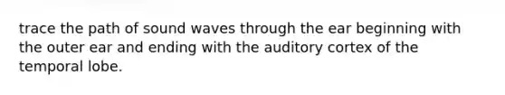 trace the path of sound waves through the ear beginning with the outer ear and ending with the auditory cortex of the temporal lobe.