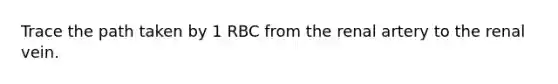 Trace the path taken by 1 RBC from the renal artery to the renal vein.