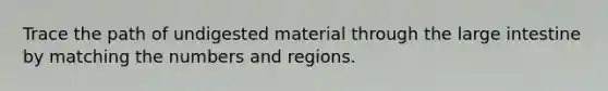 Trace the path of undigested material through the large intestine by matching the numbers and regions.