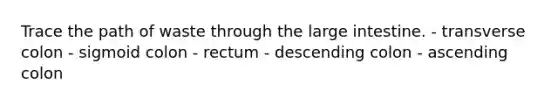 Trace the path of waste through the large intestine. - transverse colon - sigmoid colon - rectum - descending colon - ascending colon