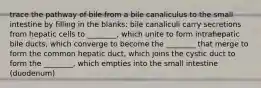 trace the pathway of bile from a bile canaliculus to the small intestine by filling in the blanks: bile canaliculi carry secretions from hepatic cells to ________, which unite to form intrahepatic bile ducts, which converge to become the ________ that merge to form the common hepatic duct, which joins the cystic duct to form the ________, which empties into the small intestine (duodenum)