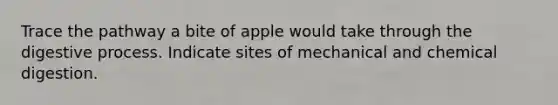 Trace the pathway a bite of apple would take through the digestive process. Indicate sites of mechanical and chemical digestion.