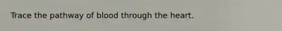 Trace the pathway of blood through the heart.