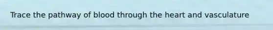 Trace the pathway of blood through the heart and vasculature