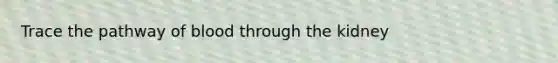 Trace the pathway of blood through the kidney