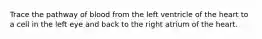 Trace the pathway of blood from the left ventricle of the heart to a cell in the left eye and back to the right atrium of the heart.
