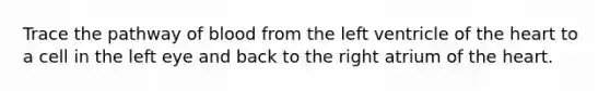Trace the pathway of blood from the left ventricle of the heart to a cell in the left eye and back to the right atrium of the heart.
