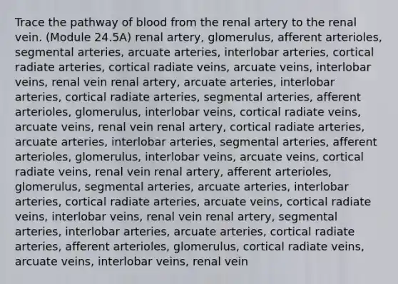 Trace the pathway of blood from the renal artery to the renal vein. (Module 24.5A) renal artery, glomerulus, afferent arterioles, segmental arteries, arcuate arteries, interlobar arteries, cortical radiate arteries, cortical radiate veins, arcuate veins, interlobar veins, renal vein renal artery, arcuate arteries, interlobar arteries, cortical radiate arteries, segmental arteries, afferent arterioles, glomerulus, interlobar veins, cortical radiate veins, arcuate veins, renal vein renal artery, cortical radiate arteries, arcuate arteries, interlobar arteries, segmental arteries, afferent arterioles, glomerulus, interlobar veins, arcuate veins, cortical radiate veins, renal vein renal artery, afferent arterioles, glomerulus, segmental arteries, arcuate arteries, interlobar arteries, cortical radiate arteries, arcuate veins, cortical radiate veins, interlobar veins, renal vein renal artery, segmental arteries, interlobar arteries, arcuate arteries, cortical radiate arteries, afferent arterioles, glomerulus, cortical radiate veins, arcuate veins, interlobar veins, renal vein