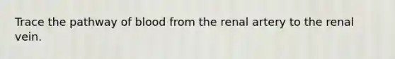 Trace the pathway of blood from the renal artery to the renal vein.