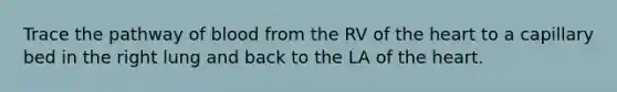 Trace the pathway of blood from the RV of the heart to a capillary bed in the right lung and back to the LA of the heart.