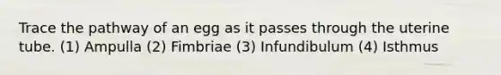 Trace the pathway of an egg as it passes through the uterine tube. (1) Ampulla (2) Fimbriae (3) Infundibulum (4) Isthmus