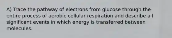 A) Trace the pathway of electrons from glucose through the entire process of aerobic cellular respiration and describe all significant events in which energy is transferred between molecules.