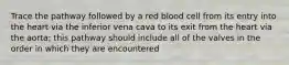 Trace the pathway followed by a red blood cell from its entry into the heart via the inferior vena cava to its exit from the heart via the aorta; this pathway should include all of the valves in the order in which they are encountered