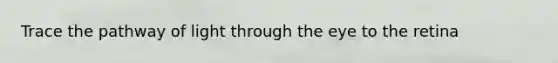 Trace the pathway of light through the eye to the retina