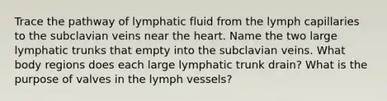 Trace the pathway of lymphatic fluid from the lymph capillaries to the subclavian veins near the heart. Name the two large lymphatic trunks that empty into the subclavian veins. What body regions does each large lymphatic trunk drain? What is the purpose of valves in the lymph vessels?