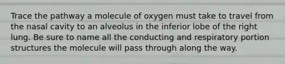 Trace the pathway a molecule of oxygen must take to travel from the nasal cavity to an alveolus in the inferior lobe of the right lung. Be sure to name all the conducting and respiratory portion structures the molecule will pass through along the way.