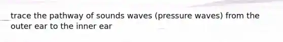 trace the pathway of sounds waves (pressure waves) from the outer ear to the inner ear