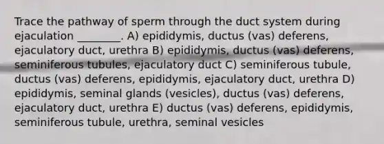 Trace the pathway of sperm through the duct system during ejaculation ________. A) epididymis, ductus (vas) deferens, ejaculatory duct, urethra B) epididymis, ductus (vas) deferens, seminiferous tubules, ejaculatory duct C) seminiferous tubule, ductus (vas) deferens, epididymis, ejaculatory duct, urethra D) epididymis, seminal glands (vesicles), ductus (vas) deferens, ejaculatory duct, urethra E) ductus (vas) deferens, epididymis, seminiferous tubule, urethra, seminal vesicles